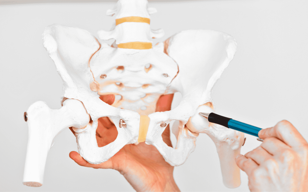 Hydration and Hips: The Crucial Connection Explained for Symptoms of Dehydrated Hips