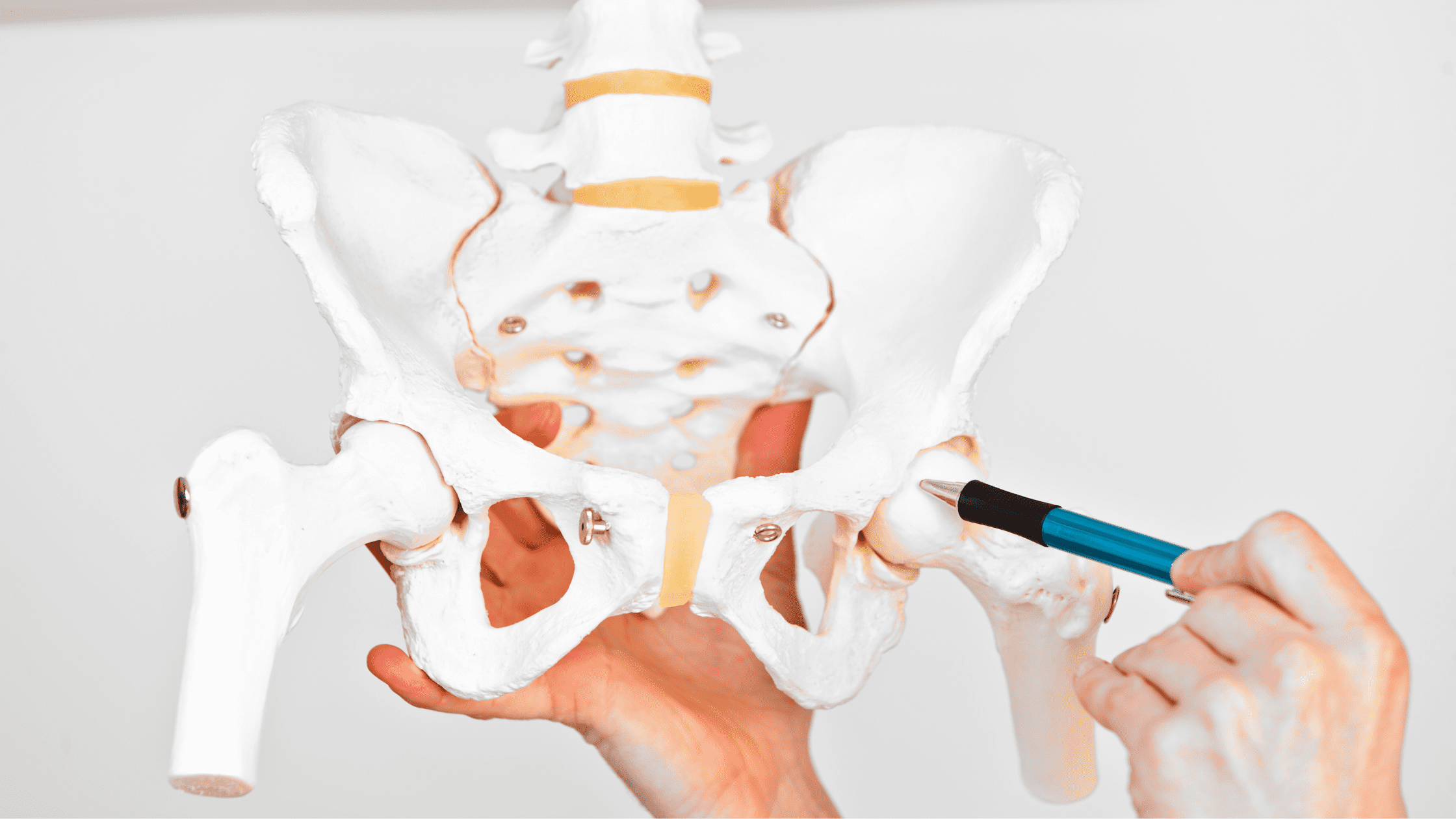 Hydration and Hips: The Crucial Connection Explained for Symptoms of Dehydrated Hips