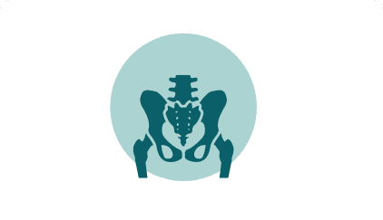 hip-knee-joint-replacement-icon-2 hip icon