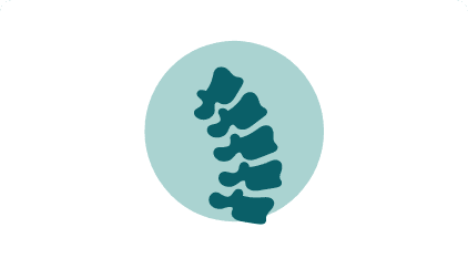 spine-icon-2 spine icon
