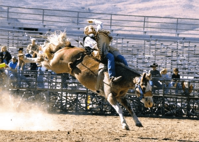 stith 2 man riding a bull in a rodeo