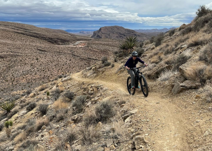 Dr. Thorne Biking A person wearing a helmet and sunglasses rides a mountain bike on a dirt trail in a rocky, desert landscape. The sky is overcast, and rugged hills and sparse vegetation can be seen in the background.