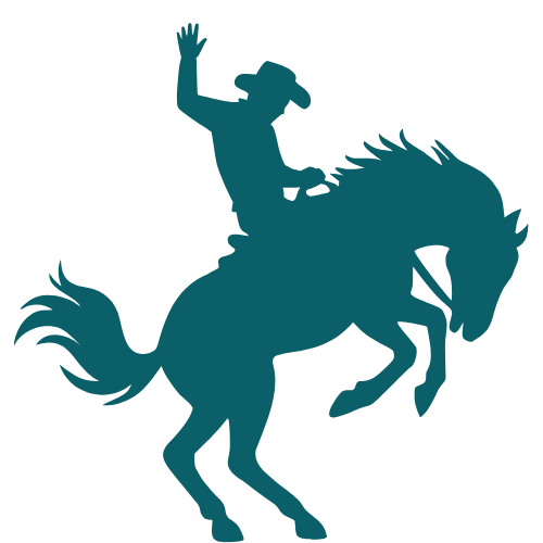 Silhouette of a cowboy wearing a hat, riding a rearing horse, with one hand holding the reins and the other raised in the air.